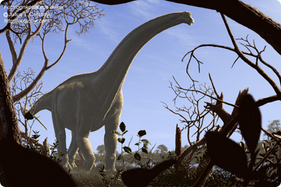 futalogknosaurus_csotonyi.jpg
